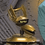 goldtorizo